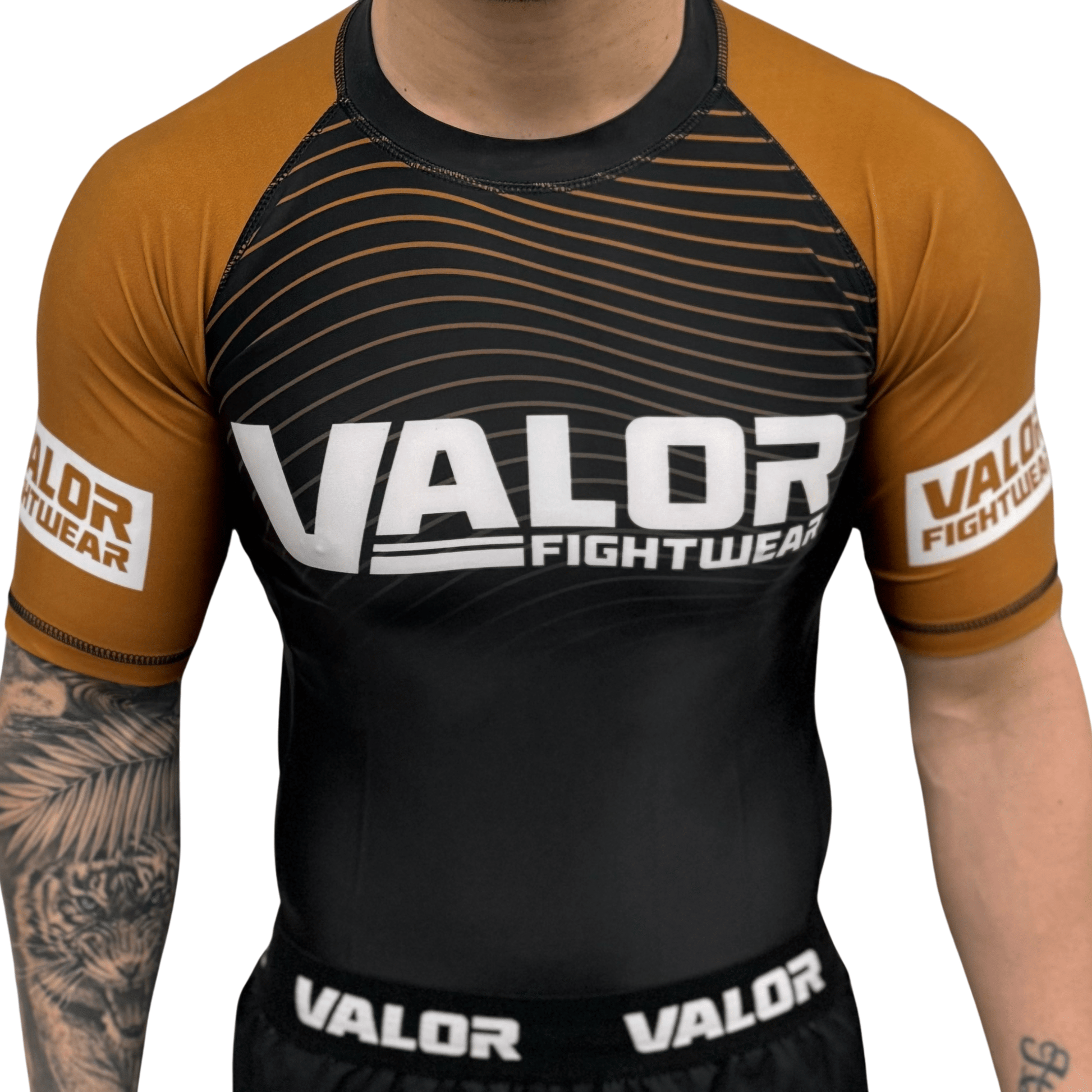 IBJJF Brown Belt Ranked No Gi BJJ/MMA Rash Guard - Brown/Black - Valor Fightwear Adult Rashguard Valor Fightwear